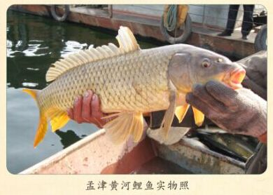 图片6.png 图片6.png